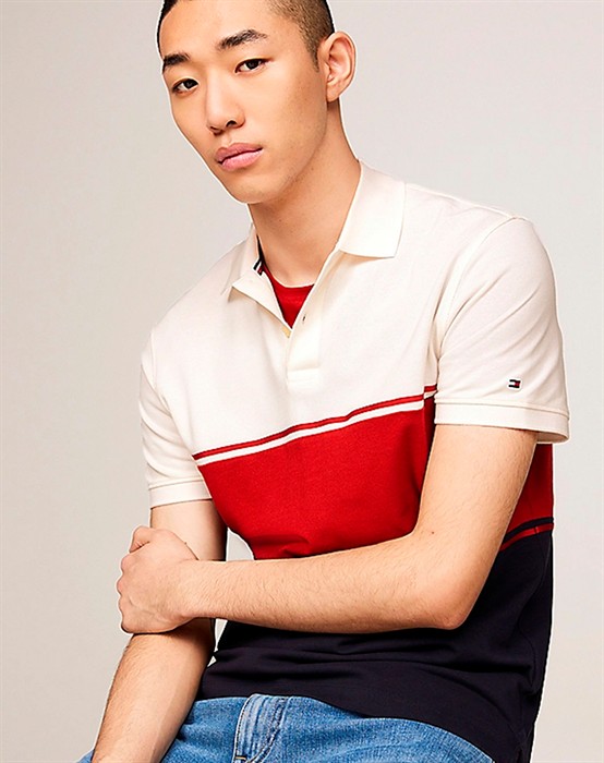 Colorblocked Flag Embroidery Polo